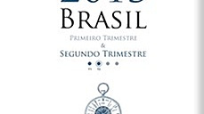 Brasil - Primeiro e Segundo Trimestre 2013